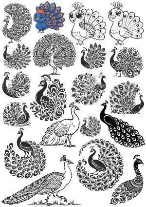Collection of Decorative Peacock Illustrations and Silhouettes Free Vector