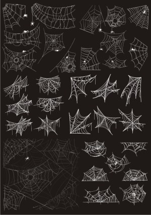 Set of White Spider Webs and Spiders on Black Background Free Vector