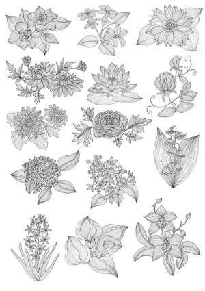 Detailed Hand-Drawn Floral Vector Illustrations Set Free Vector