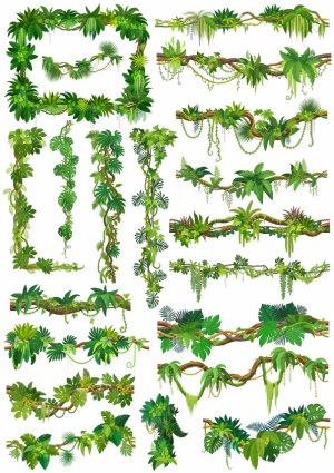 Vector Set of Tropical Jungle Vines and Foliage Borders Free Vector