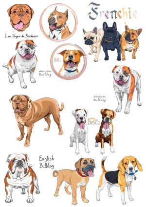 Vector Illustrations of Various Bulldog Breeds and Dogs Free Vector
