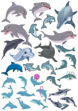 Dolphin and Whale Vector Clipart Collection Free Vector