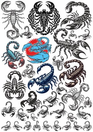 Collection of Scorpion Vector Illustrations with Various Styles and Colors Free Vector