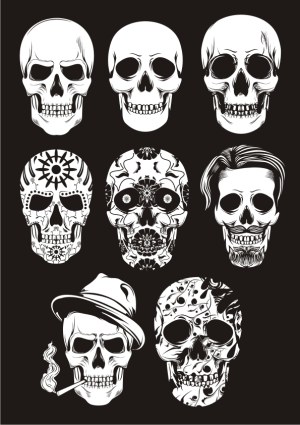 Collection of Detailed Skull Vector Illustrations with Day of the Dead and Artistic Designs Free Vector