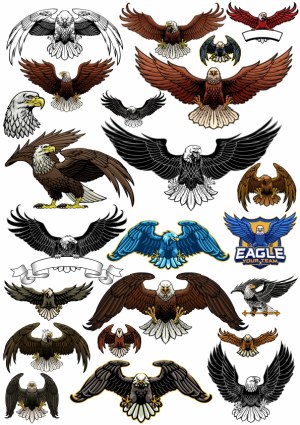 Collection of Stylized Eagle Illustrations and Emblems Free Vector