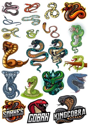 Collection of Colorful Snake and Cobra Vector Illustrations Free Vector