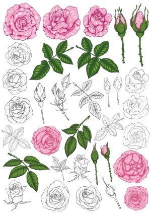 Hand-Drawn Pink Rose Flowers and Green Leaves Vector Set Free Vector