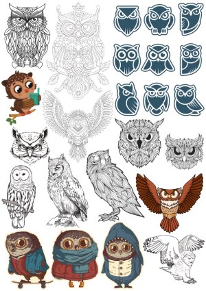 Diverse Owl Illustrations and Vector Icons Collection Free Vector