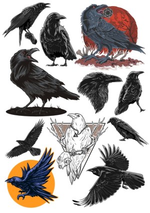Detailed Raven and Crow Vector Illustrations Collection Free Vector