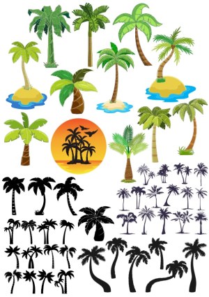 Collection of Tropical Palm Tree Vector Illustrations Free Vector