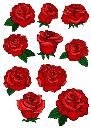Red Rose Flower Set Vector Illustrations Free Vector