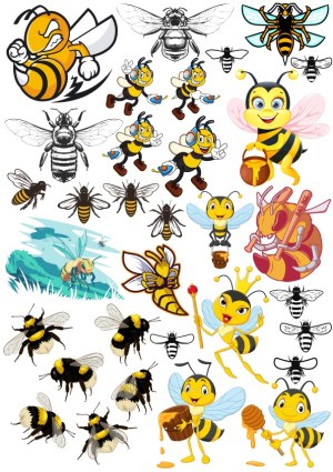 Collection of Bee and Wasp Vector Illustrations and Cartoon Characters Free Vector