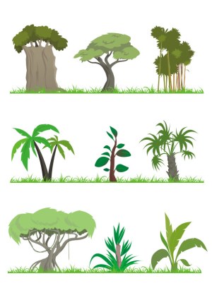 Vector Set of Various Tropical and Exotic Trees and Plants Free Vector