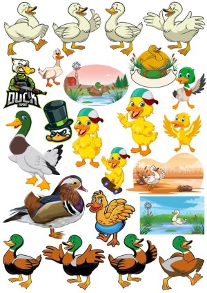 Collection of Cartoon Duck and Mallard Vector Illustrations Free Vector