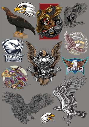 Eagle and Hawk Vector Illustrations and Logos Free Vector