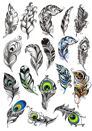 Decorative Peacock Feather Vector Collection Free Vector