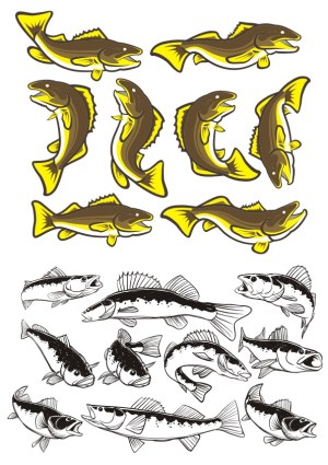 Set of Stylized and Realistic Fish Illustrations in Various Poses Free Vector