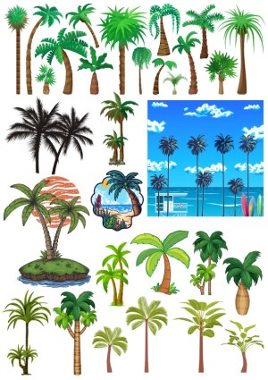 Variety of Palm Tree and Tropical Beach Vector Illustrations Free Vector