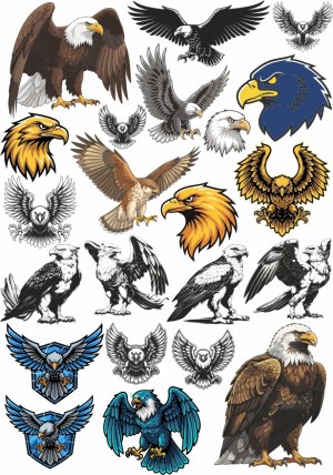 Collection of Eagle Illustrations and Mascot Designs Free Vector
