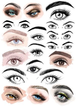 Collection of Detailed Vector Eyes and Eyebrows Illustrations Free Vector