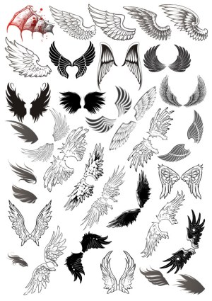 Collection of Various Stylized Wing Vector Designs Free Vector