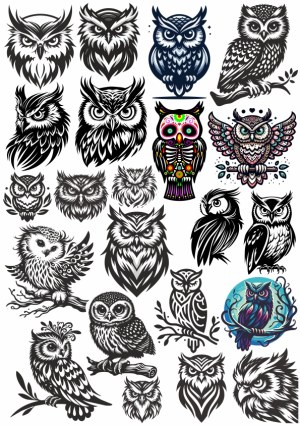 Collection of Artistic Owl Vector Illustrations Free Vector