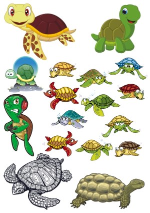 Collection of Cartoon and Realistic Turtle and Tortoise Illustrations Free Vector