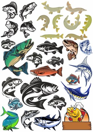 Various Colorful and Black Fish Vector Illustrations Free Vector