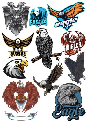 Collection of Eagle Illustrations and Sports Logos Free Vector