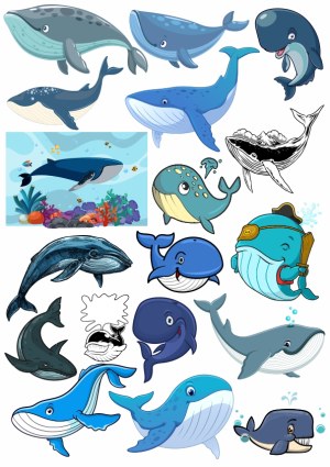 Collection of Cartoon and Realistic Whale Illustrations Free Vector