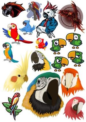 Colorful Parrot and Cockatoo Vector Illustrations Collection Free Vector