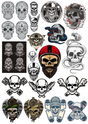 Collection of Detailed Skull and Skeleton Vector Designs Free Vector
