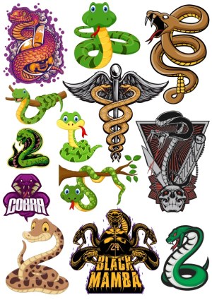 Collection of Diverse Snake Vector Illustrations Free Vector
