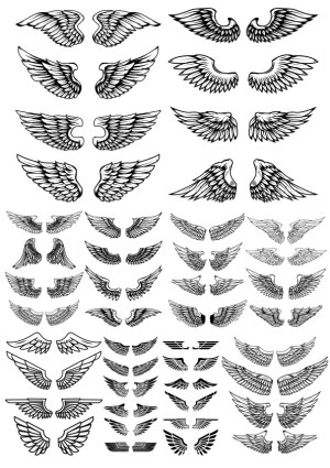 Set of Various Black and White Angel and Bird Wing Vector Designs Free Vector
