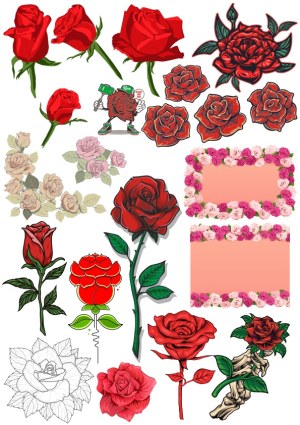 Collection of Various Red Rose Illustrations and Floral Borders Free Vector