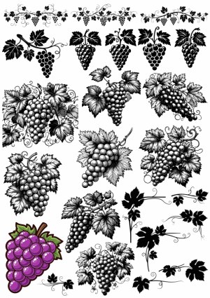 Vector Collection of Grapevine Clusters and Leaves Free Vector