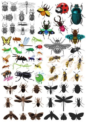 Collection of Diverse Insect Vector Illustrations Free Vector