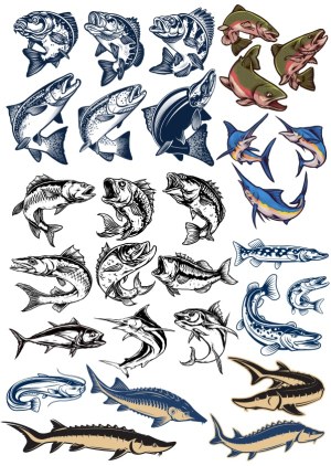 Hand-Drawn Stylized Fish and Marlin Vector Collection Free Vector