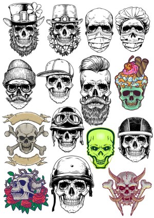 Collection of Detailed Skull Illustrations with Various Hats and Themes Free Vector