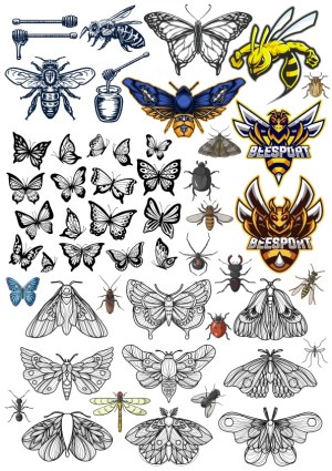 Assorted Vector Illustrations of Bees, Butterflies, Moths, and Insects Free Vector