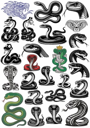 Collection of Vector Snake Illustrations and Cobra Designs Free Vector
