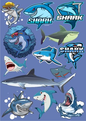 Collection of Cartoon and Realistic Shark Vector Illustrations Free Vector