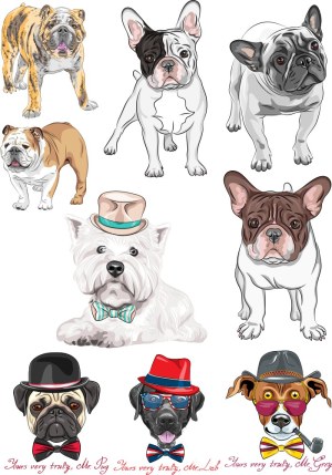 Cartoon Vector Illustrations of Various Dog Breeds with Accessories Free Vector