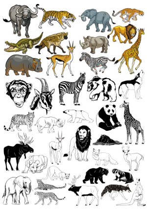 Collection of African and Arctic Wild Animal Vector Illustrations Free Vector