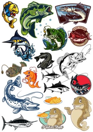 Fishing and Fish Species Vector Collection with Cartoon and Realistic Styles Free Vector