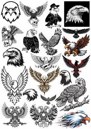 Collection of Eagle and Hawk Vector Illustrations and Emblems Free Vector