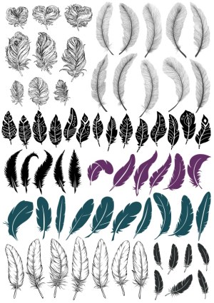 Collections of Various Feather Designs and Illustrations Free Vector
