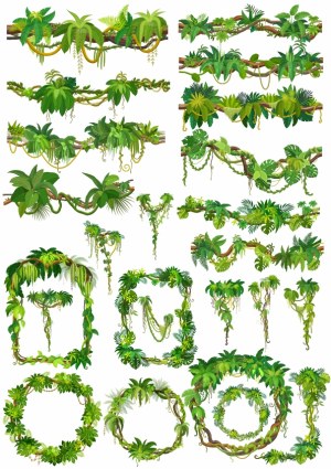Jungle Vines and Tropical Leaf Frames Vector Set Free Vector