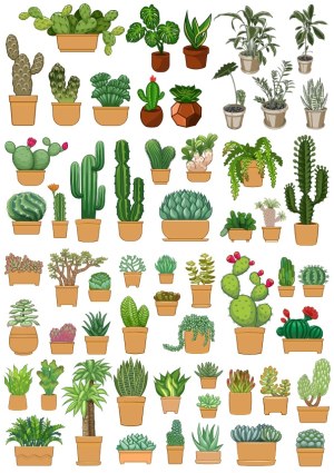 Collection of Potted Cactus and Succulent Plant Vectors Free Vector