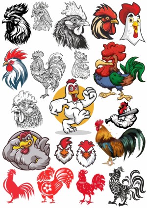 Collection of Rooster and Chicken Vector Illustrations and Icons Free Vector